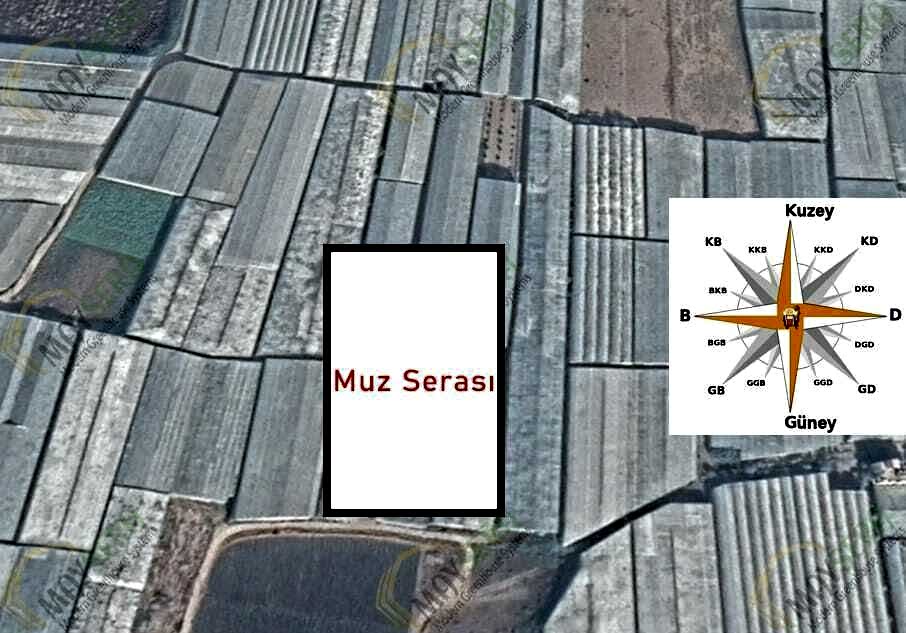 Muz serası kurulumu | Muz serası maliyeti | Muz sera maliyeti | MAYSERA