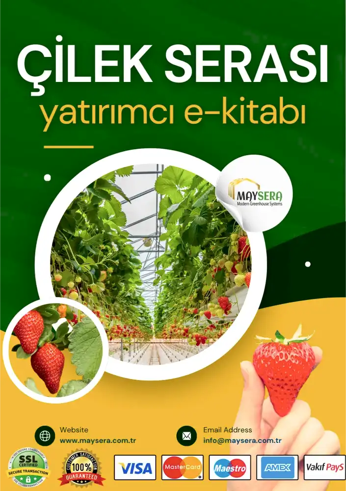 Çilek serası yatırımı ve verimli tarım üzerine kapsamlı bir rehber, çilek serası kurulumu, maliyet analizi, pazarlama stratejileri ve verimlilik yöntemlerini içeren bir tarım kılavuzu.